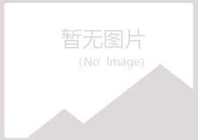 红山区迎夏媒体有限公司